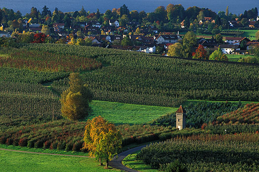 Schönau - Blick vom Ringoldsberg auf Enzisweiler
